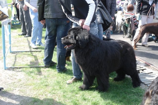 Фотография № 66864