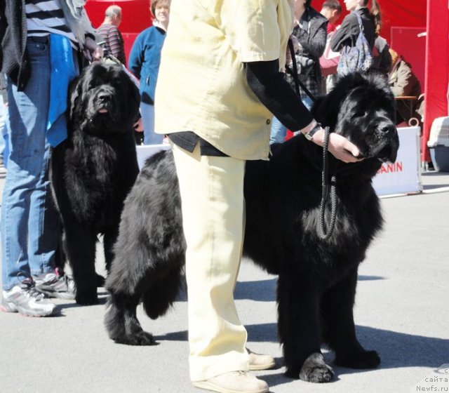 Фотография № 66867