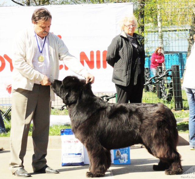 Фотография № 66873