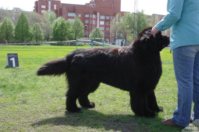 Фотография № 66874