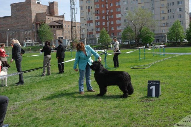 Фотография № 66877