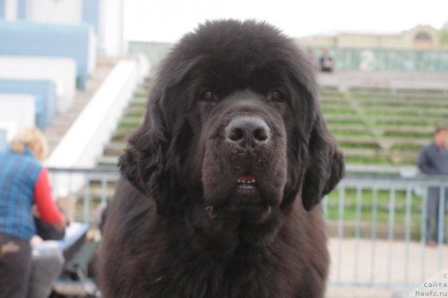 Фотография № 66881