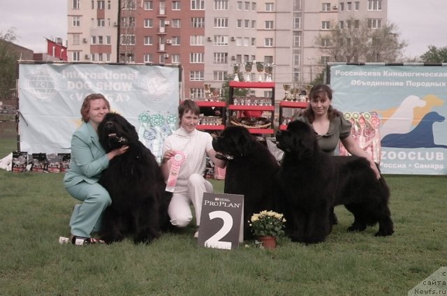 Фотография № 66884