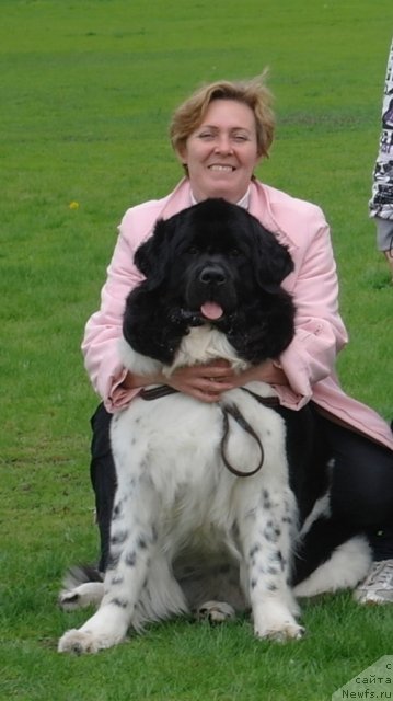 Фото: ньюфаундленд Кипер Соул Жемчужина Белая, Марина Девятова