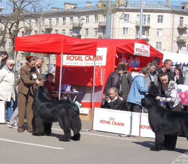 Фотография № 66888