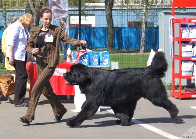 Фотография № 66890