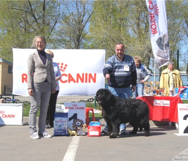 Фотография № 66892