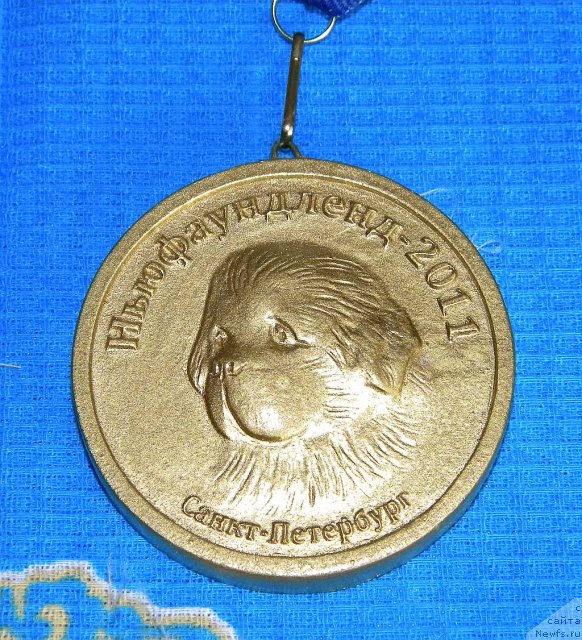 Фотография № 66917