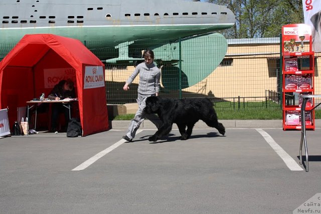 Фотография № 66931