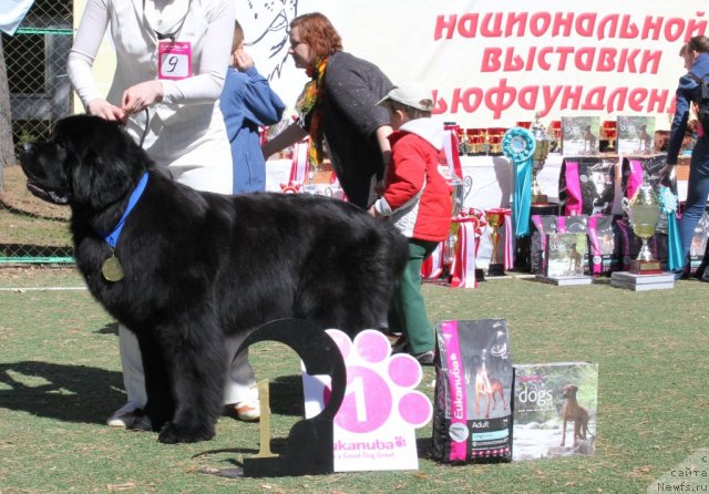 Фотография № 66934