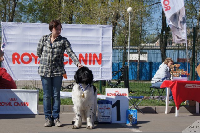 Фотография № 66937