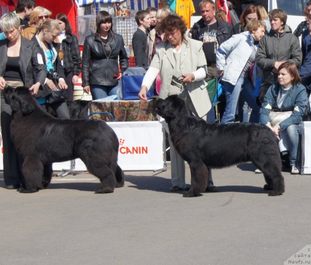 Фотография № 66943