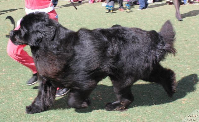 Фотография № 66946