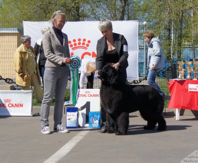 Фотография № 66948