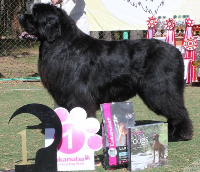 Фотография № 66949