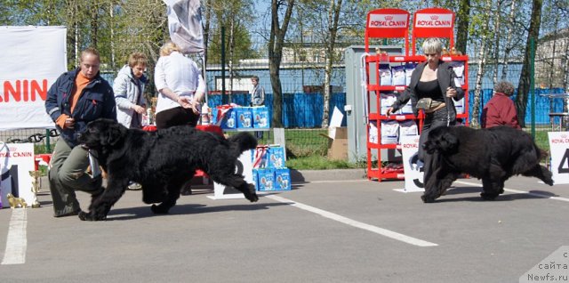 Фотография № 66950