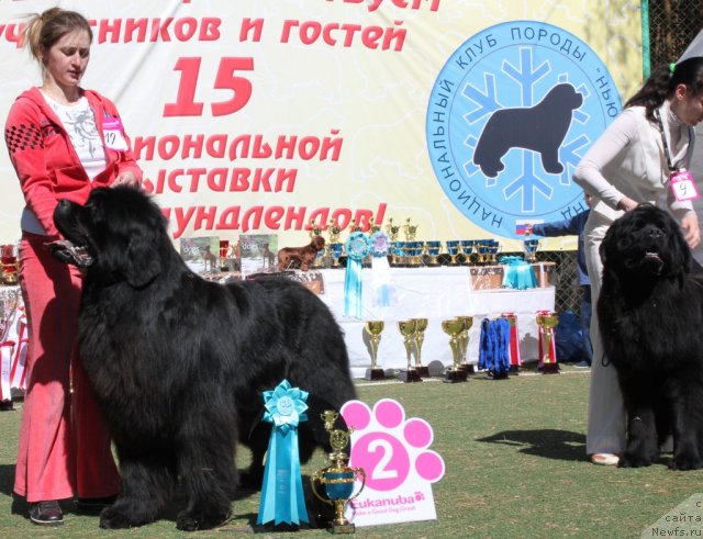 Фотография № 66951