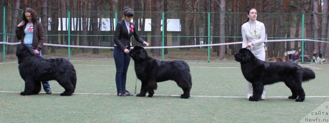 Фотография № 66955