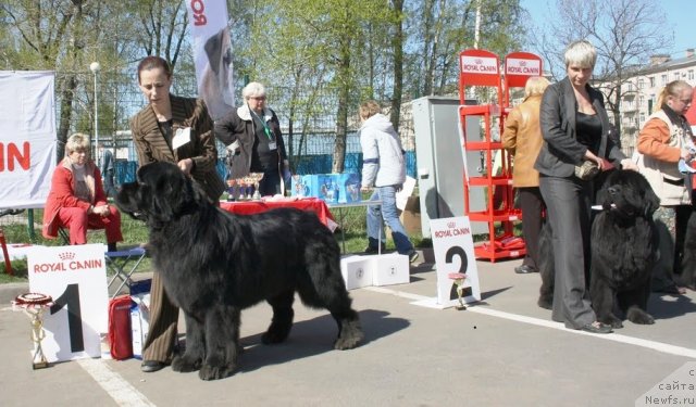 Фотография № 66957