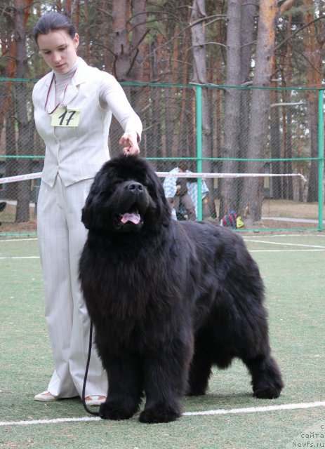 Фотография № 66961