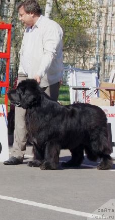 Фотография № 66962