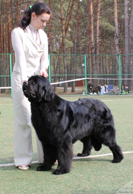 Фотография № 66985