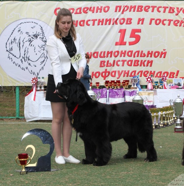 Фотография № 66989