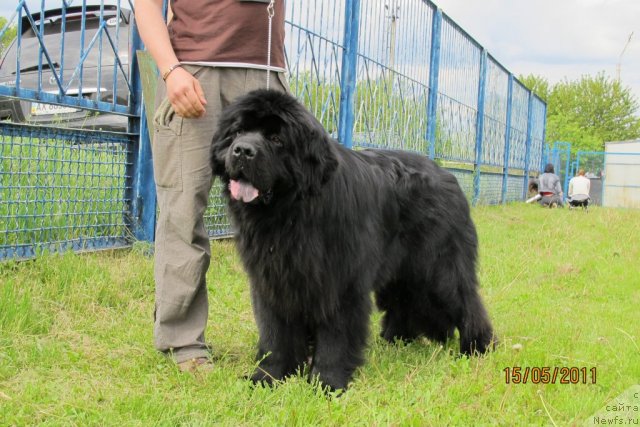 Фотография № 67001