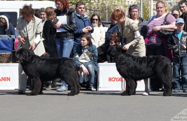 Фотография № 67014