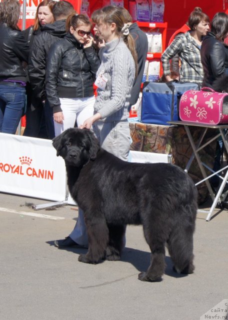 Фотография № 67015