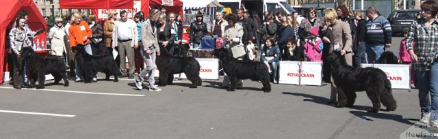 Фотография № 67016