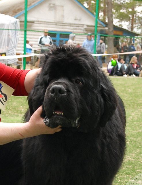 Фотография № 67023