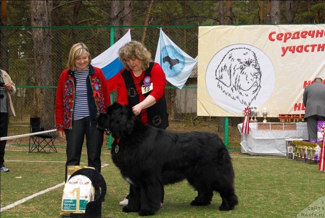 Фотография № 67035