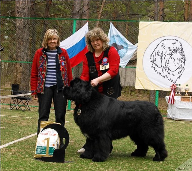 Фотография № 67038