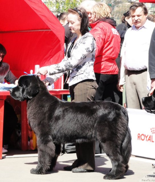 Фотография № 67039