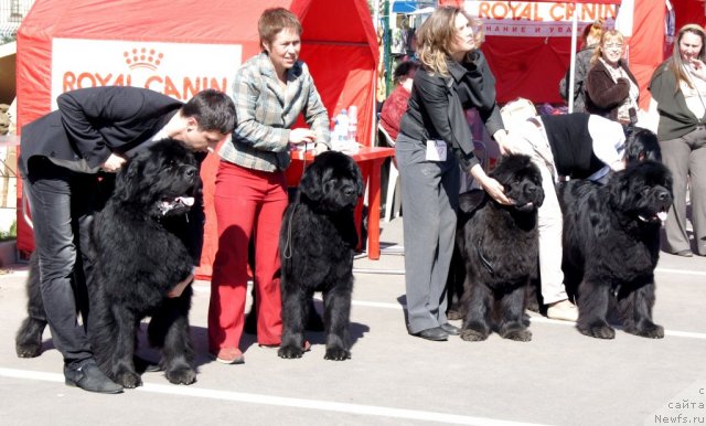 Фотография № 67040