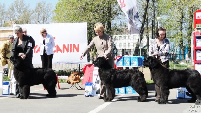 Фотография № 67059