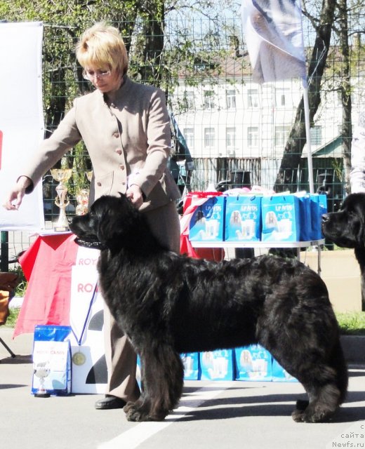 Фотография № 67060