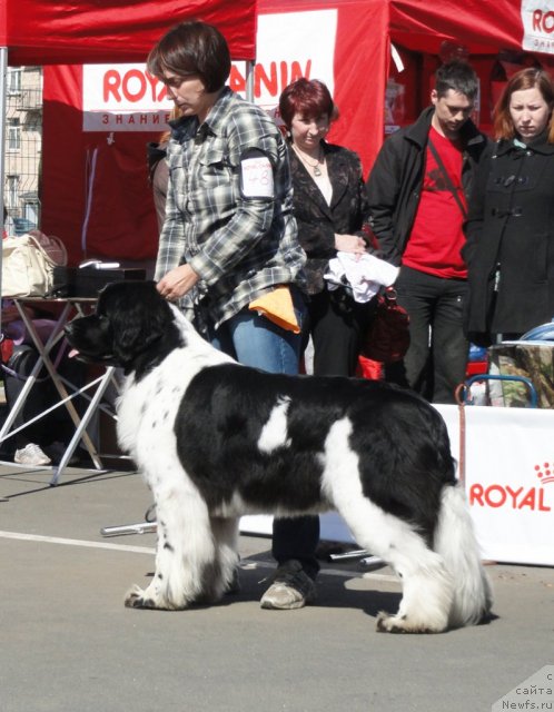 Фотография № 67063