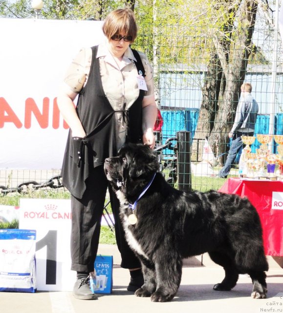 Фотография № 67064