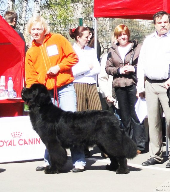 Фотография № 67065