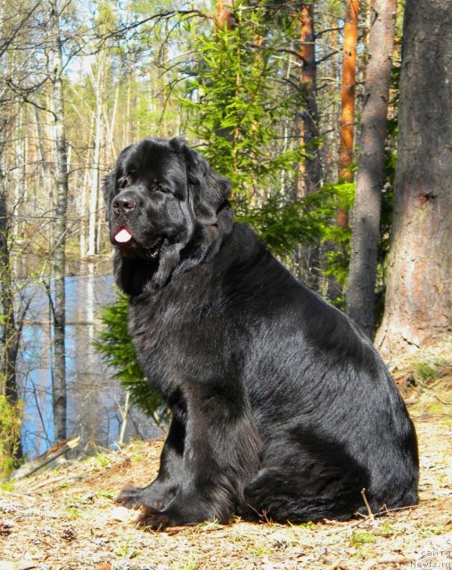 Фотография № 67069