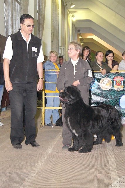 Фотография № 67095