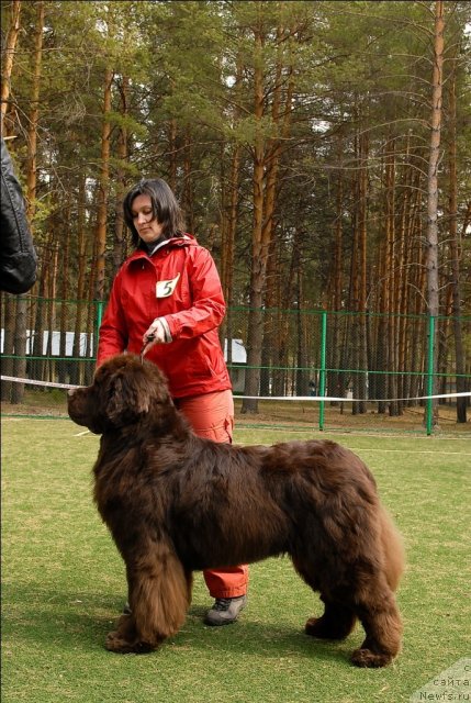 Фотография № 67180