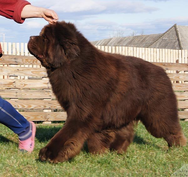 Фотография № 67281