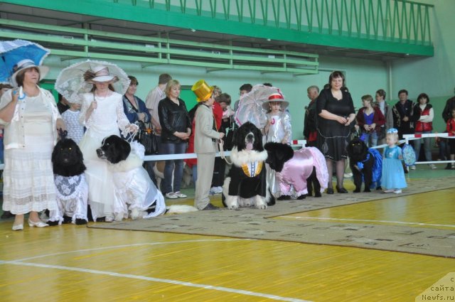 Фотография № 67331