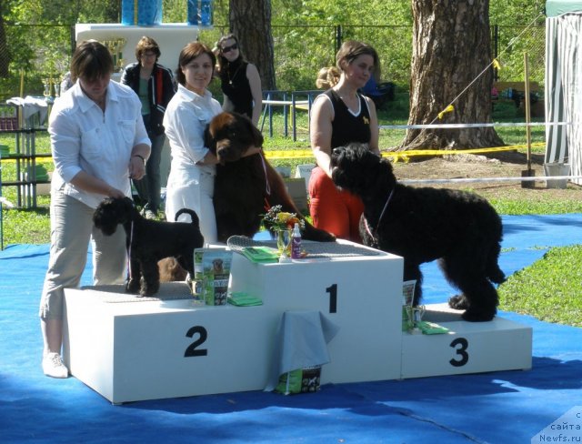 Фотография № 67348