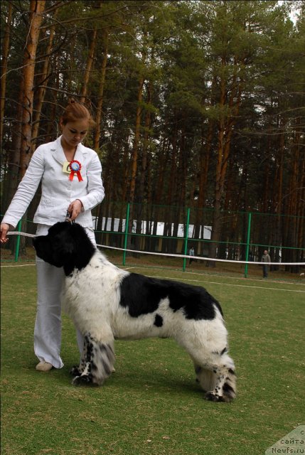 Фотография № 67361