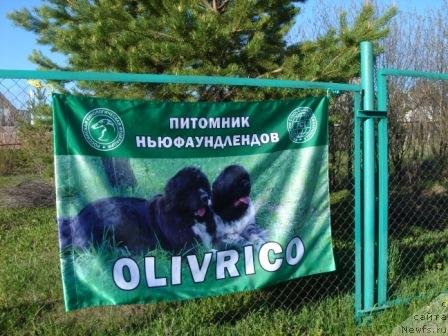 Фотография № 67371