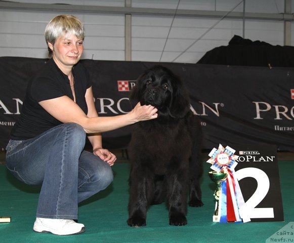 Фотография № 67436